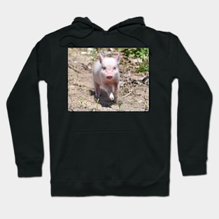 Piggy Hoodie